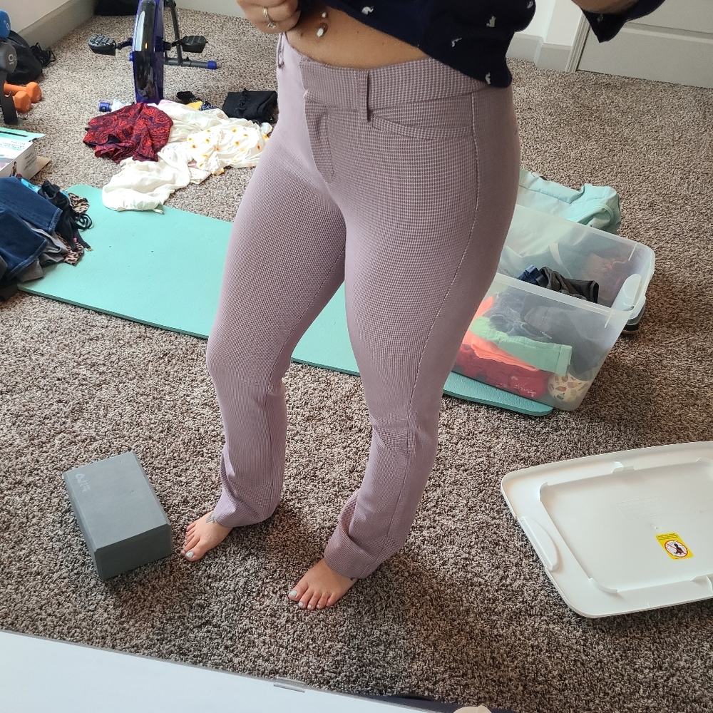 Express dress pants